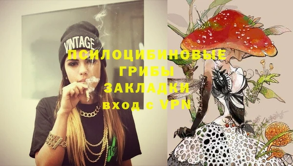 Альфа ПВП Зерноград