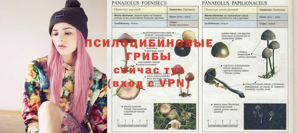 Альфа ПВП Зерноград