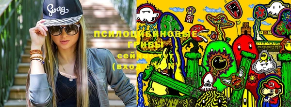 Альфа ПВП Зерноград